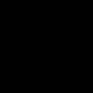 Meet your Posher, Evan